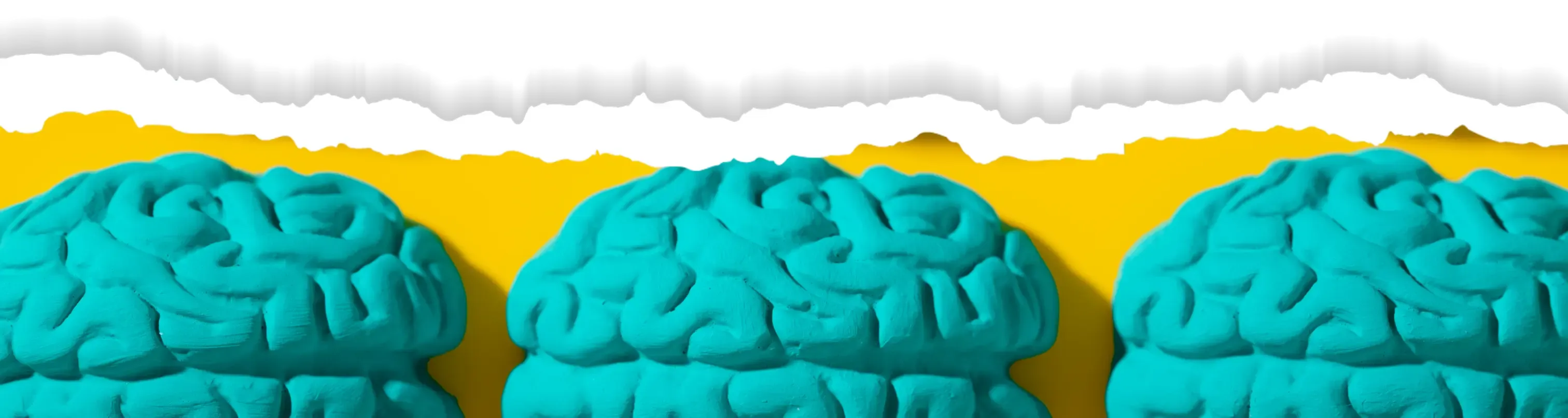 Imagen cover de cerebro
